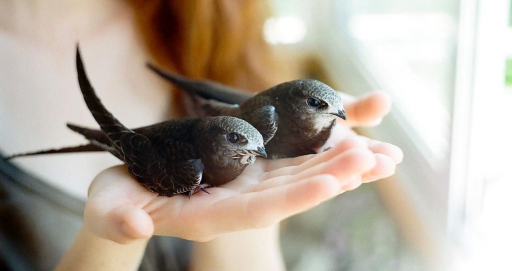 ���������� ������