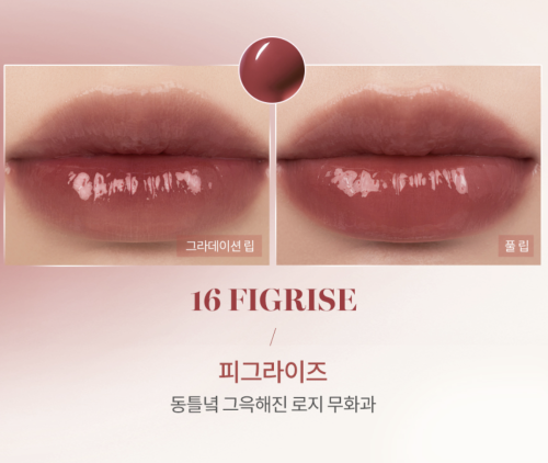 Rom&nd      , 16 Figrise, Glasting Water Tint  5
