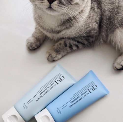 Esthetic House ������� ��� ��������� ����������� 100 ��  CP-1 Aquaxyl complex intense moisture shampoo 100 ml ���� 7